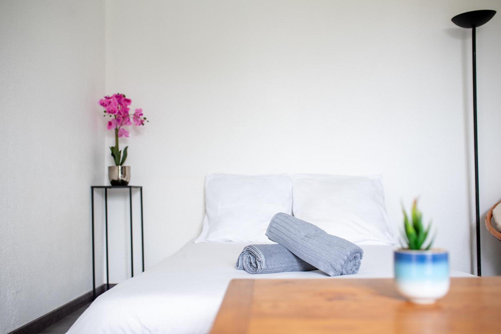 T2 Rangueil - Terrasse + 2 Parkings - 4 Personnes Apartment ตูลูส ภายนอก รูปภาพ